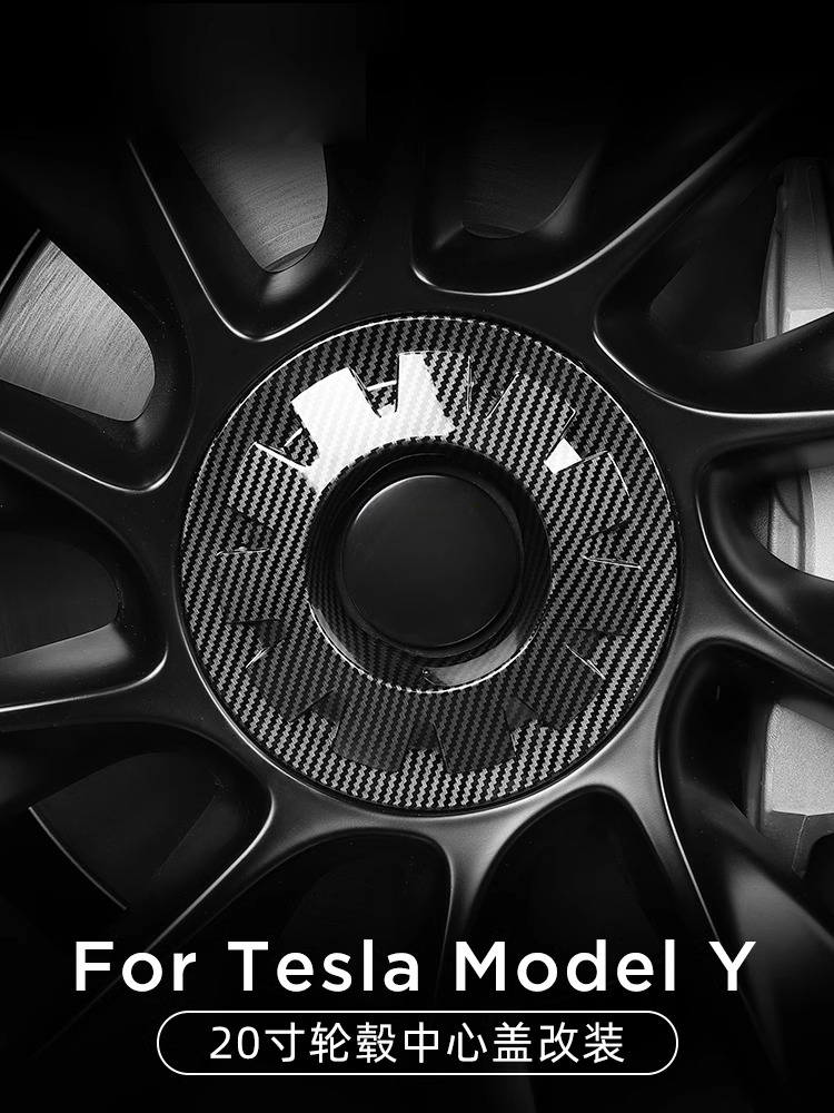 TESLA  ĸ MODELY20 ġ  ĸ ڵ   ĸ  ׼ -