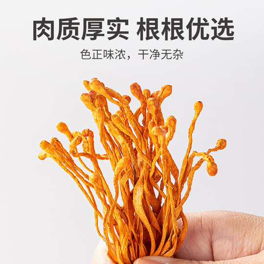 冬虫夏草 シネンシス種 1g（Fangjiapuzi 冬虫夏草ミリタリス