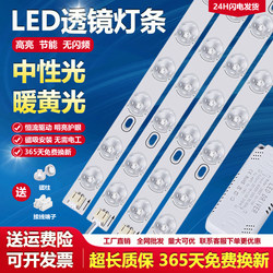 Guangdong Zhongshan Lighting Factory Direct Sales Led Ceiling Light Core Light Strip Long Strip Magnetic Replacement Warm Yellow Light Neutral Light Source