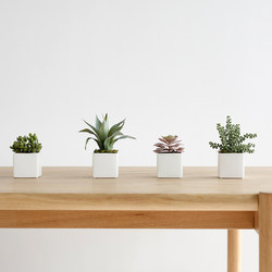 Ladylike Artificial Green Plants, Succulent Plant Combination Potted Plants, Ceramic Flower Pots, Indoor Artificial Flower Decorative Ornaments
