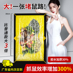 Mouse Trap Sticky Board, Extra Large, Thickened, Household Use, Sticky Mouse Catcher, Indoor Mouse Trap, Nest Removal Tool