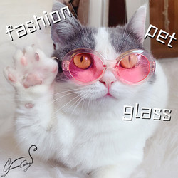 cc eonpet export grade cat sunglasses