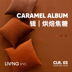 Living Inc. Caramel-Colored Velvet Pillow, Vintage Living Room Sofa Cushion, Office Lumbar Pillow, Bed Pillow