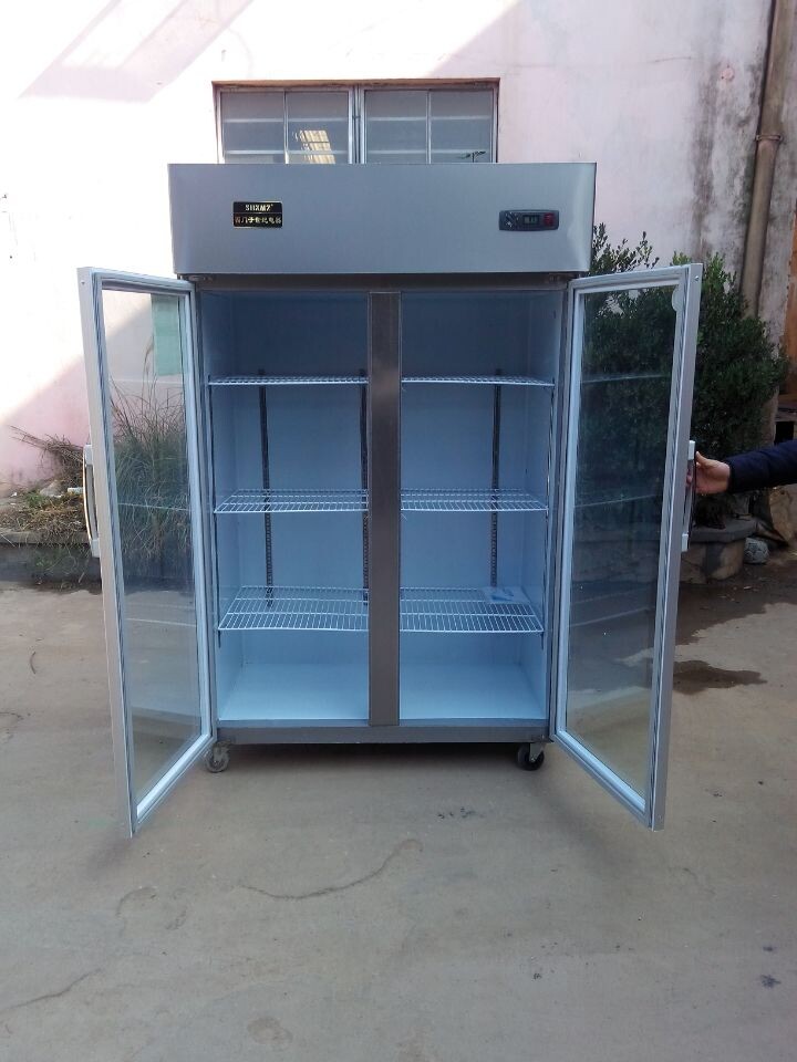 西门子世纪1.2米冷藏展示柜立式双门冰柜冷柜鲜花保鲜冷藏厨房柜