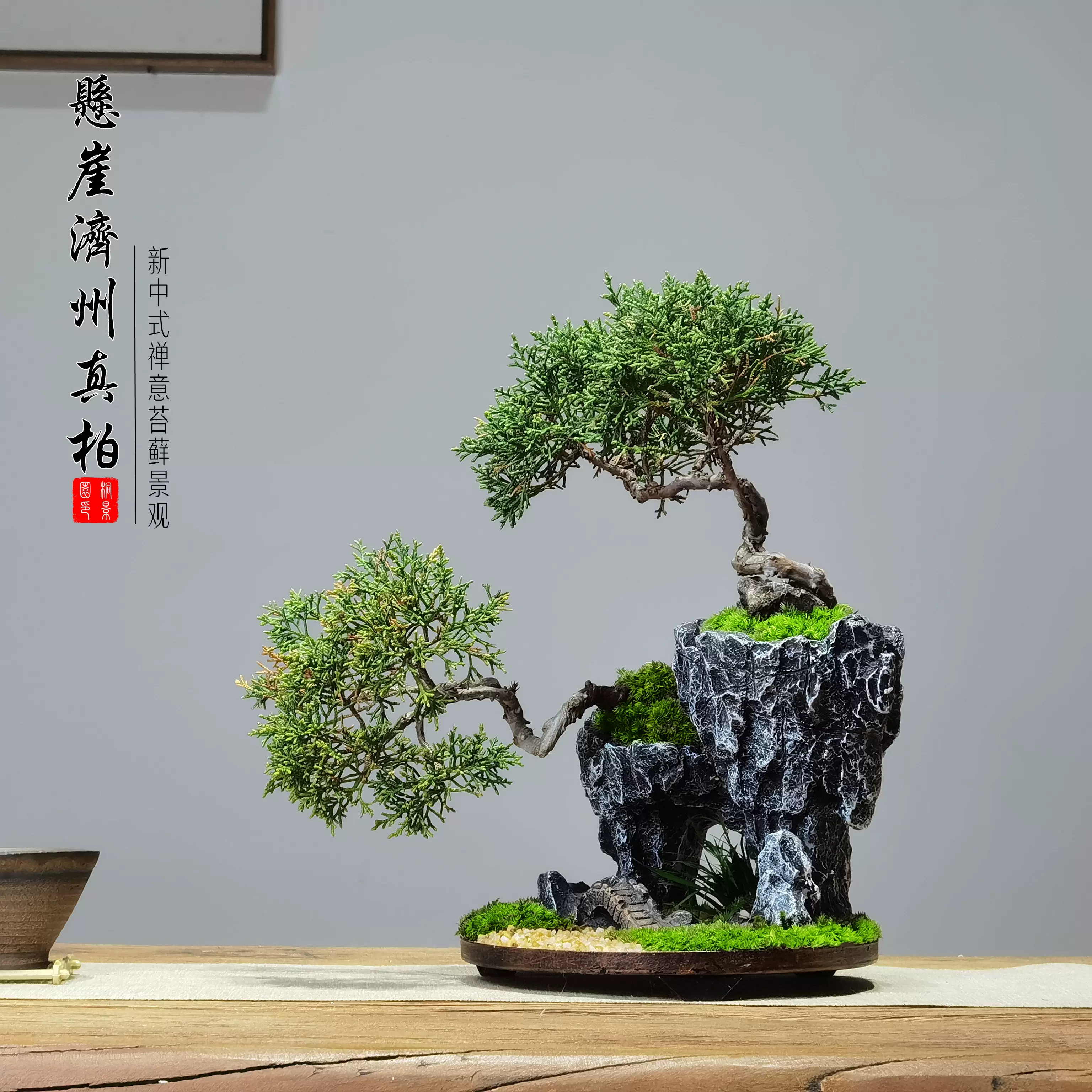 真柏盆栽 BONSAI 懸崖