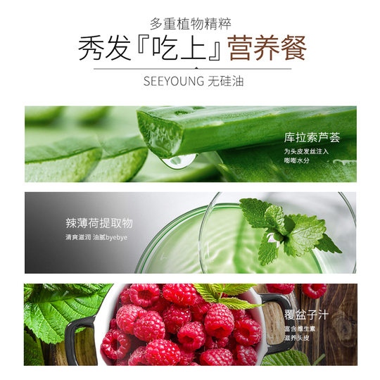 Seeyoung Ginger Control Oil Shampoo - 抜け毛防止 & ボリューム