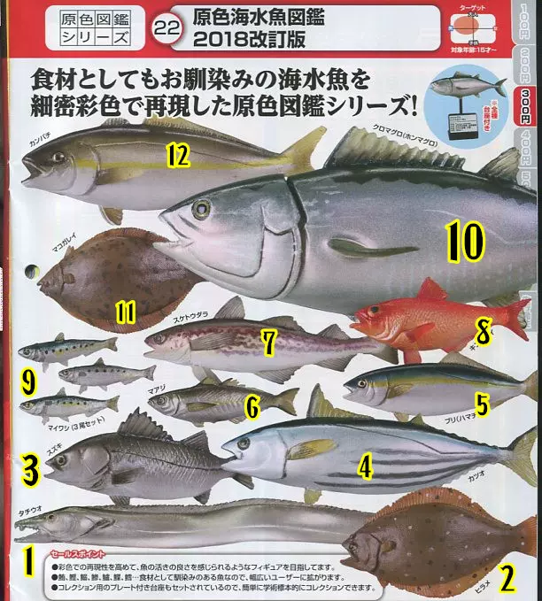 現貨日版正版t Arts 原色淡水魚圖鑑18版海水魚扭蛋