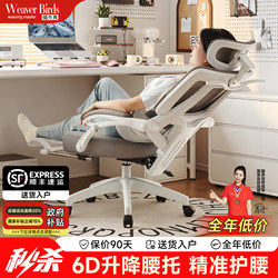 Computer Chair, Comfortable for Long Periods of Sitting, Office Nap Dual-Purpose Sofa Seat, Dormitory College Student Ergonomic Gaming Chair