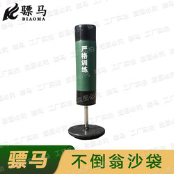 New Standard Boxing Punching Bag, Basic Fighting Skills Assessment Vertical Sandbag with Cast Iron Base Boxing Punching Bag