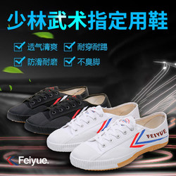 Feiyue Track and Field Shoes, Martial Arts Shoes, Special Training Shoes, Children's Men's Tai Chi Shoes, White and Black Martial Arts Performance Stage Shoes