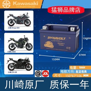 
Kawasaki Alien 6501000 Lion Battery