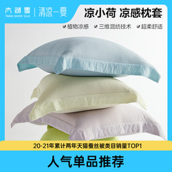 Taihu Snow Pillowcase Cool Summer Pillow Core Cover Liner Cover Cool Xiaohe Household Pillow Cover Pair 48x74cm