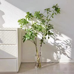 Handme Horse Drunken Wood Simulated Green Plants Classy Accessible Luxury Living Room Tv Cabinet Decorative Ornaments Floor Hanging Clock Fake Plants