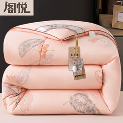 Authentic Feather Silk Quilt Core, Thickened Quilt, Winter Quilt, Warm Spring and Autumn Winter Space Quilt, Double Quilt Bedding, Cotton Batting for Winter