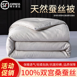Silk Quilt 100% Mulberry Silk Spring and Autumn Quilt Air-Conditioned Summer Cooling Quilt Two-In-One Quilt for All Seasons Winter Quilt