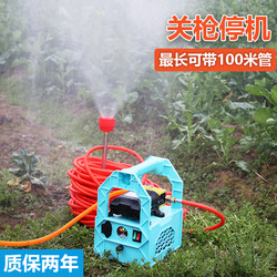 12V Agricultural Electric Sprayer, Portable Disinfection and Charging Device, Fruit Tree Sprayer, Water Pump, Car Washing Machine, High-Pressure Dual Pump