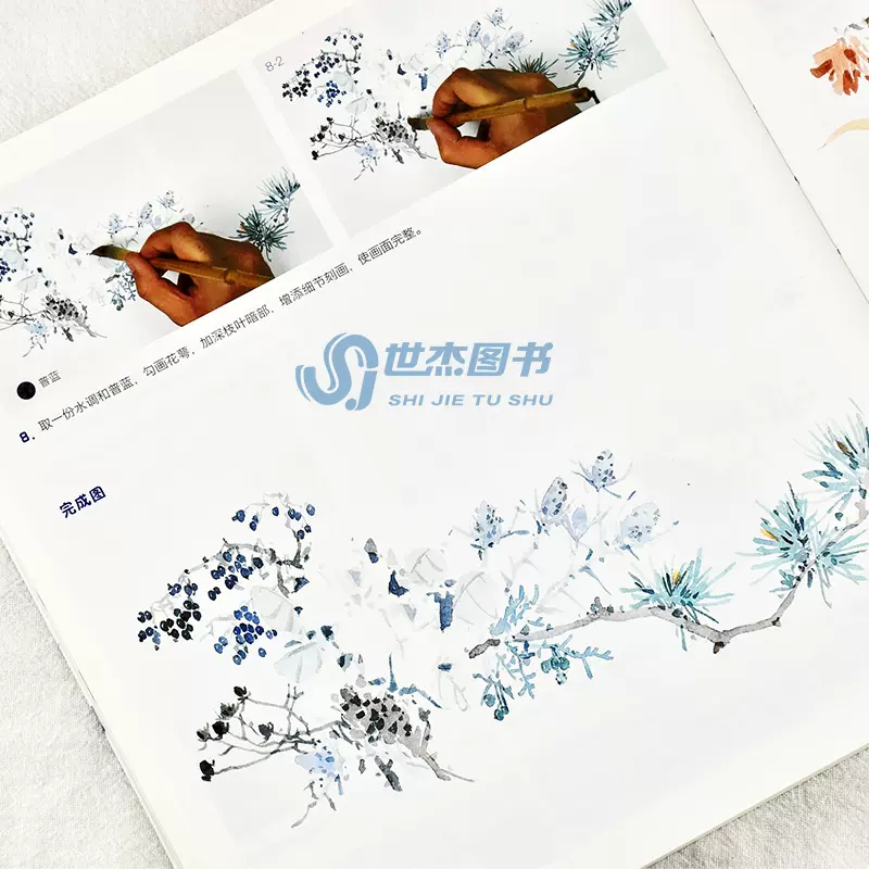 現貨介疾水彩套裝共3冊楚辭飛鳥繪 詩經草木繪 暖愛治癒風古風水彩技法教程彩色鉛筆手繪技法植物動物手繪技法水彩畫入門臨摹繪畫書