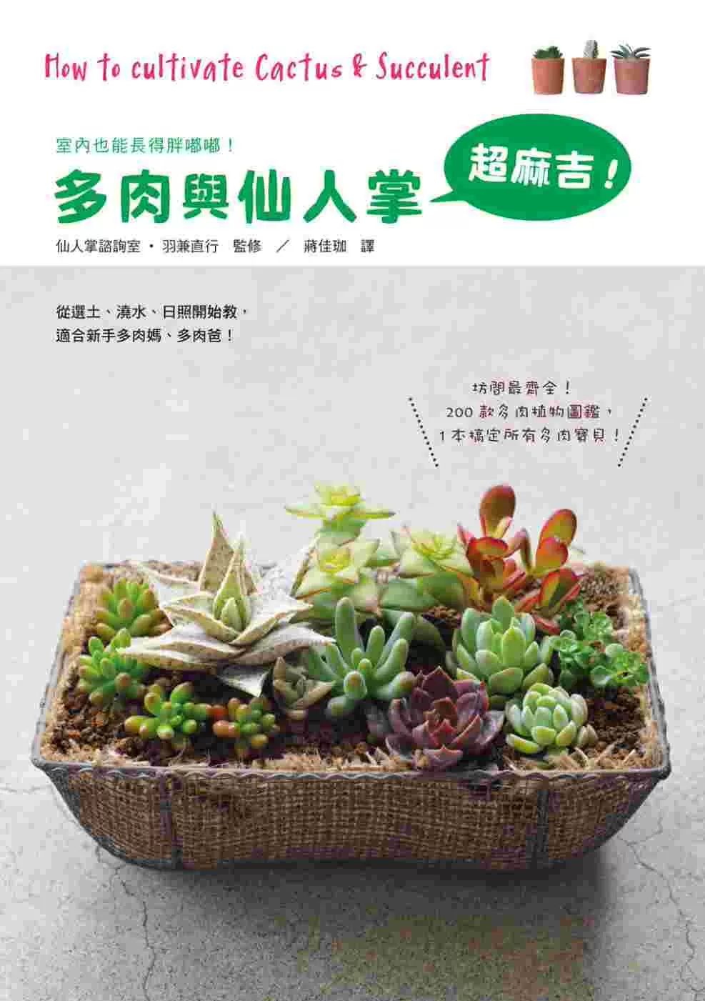 Sale 98 Off 多肉植物 本 Www Hallo Tv Sale 98 Off 多肉植物 本 Www Hallo Tv