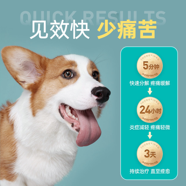 Image showcasing Allivet Pet Pharmacy - Pet Meds Online | Save on AutoShip