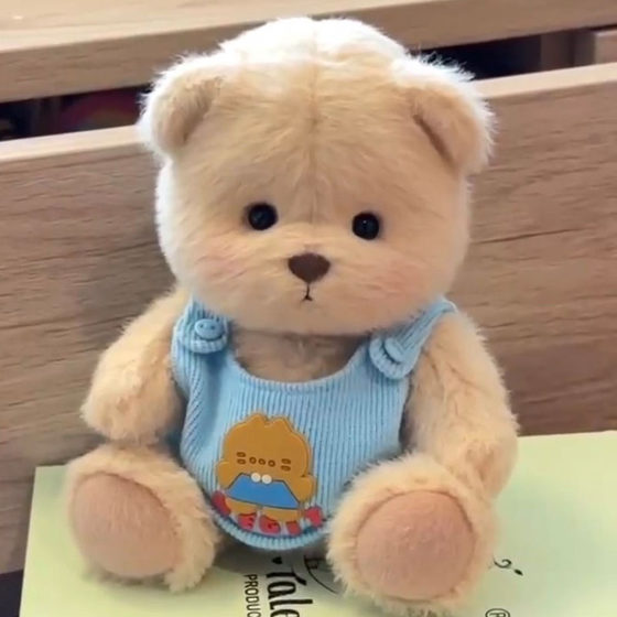 Mid -No. 30cm bear little bear clothes light heart poured back shirt Little red book explosion teddy bear doll doll dress