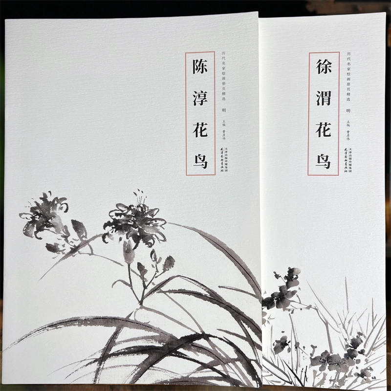 大型 清国 永興典當行封藏 棲禽図 名家 【沈銓 】 氏の書卷绘 卷