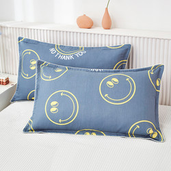 Pillowcase Set, Summer Nordic Style, Ins Style, Single 48X74Cm, Single/Double, Complete Pillow Cover Set