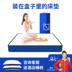 Vacuum Compressed Roll-Packed 20cm Thick Household Top Ten Coconut Palm Spring Latex Memory Foam Simmons Box Soft Mattress