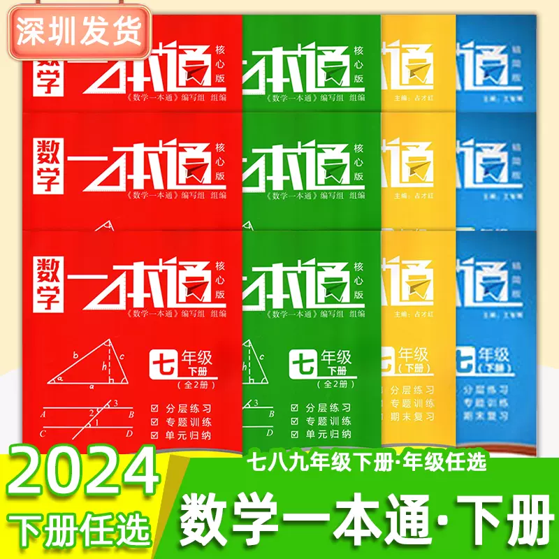 2024版数学一本通789/七八九年级下册精简版红+蓝+绿+课堂测试共4册初中 