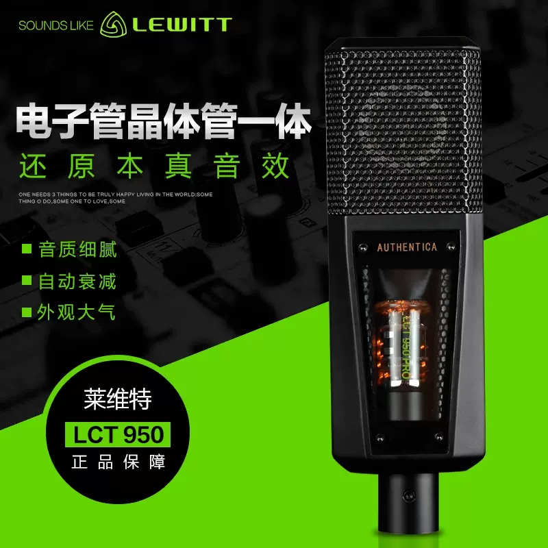 LEWITT くすみ LCT950pro