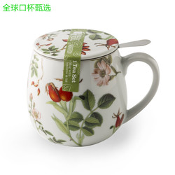 German Imported Little Prince Koenitz Ceramic Mug With Lid Filter Tea Leakage Tea Water Separation Flower Tea Cup