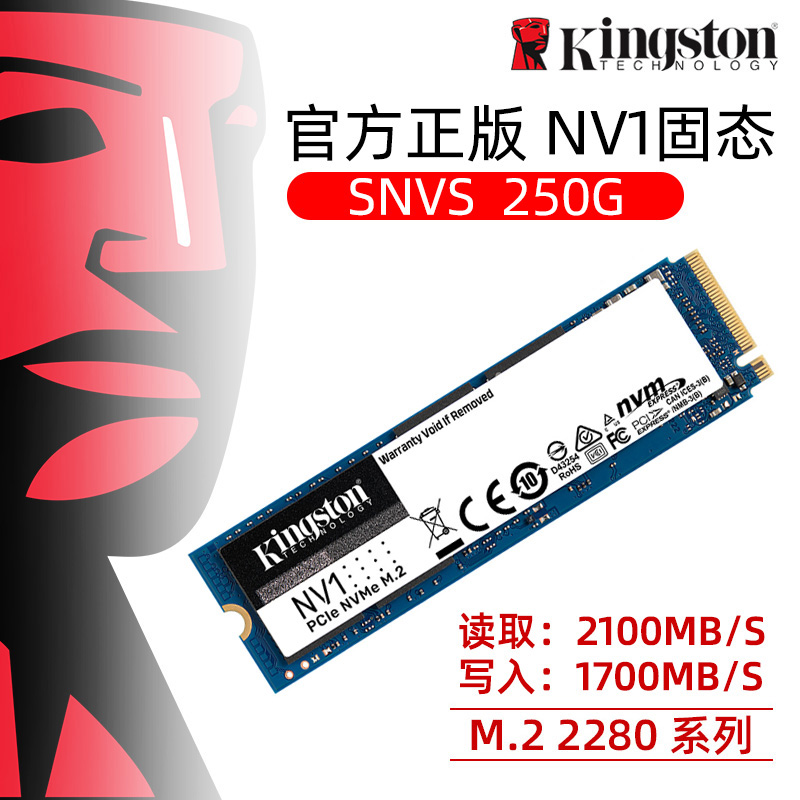 ŷ SNVS | 250G M.2 2280 NV1 ָ Ʈ ũž ǻ Ʈ SSD 250G-