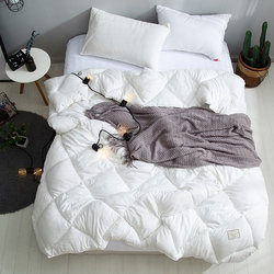 Super Soft Washed Cotton Student White Quilt Core, Suitable for All Seasons, Single and Double Cotton Bedding, Autumn and Winter Quilt, Thickened and Warm
