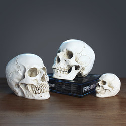 Artistic Human Musculoskeletal Skeleton Model for Painting, Sketching, Art Exam, Art Academy, Art Teaching, 1:1 Skull Ornament