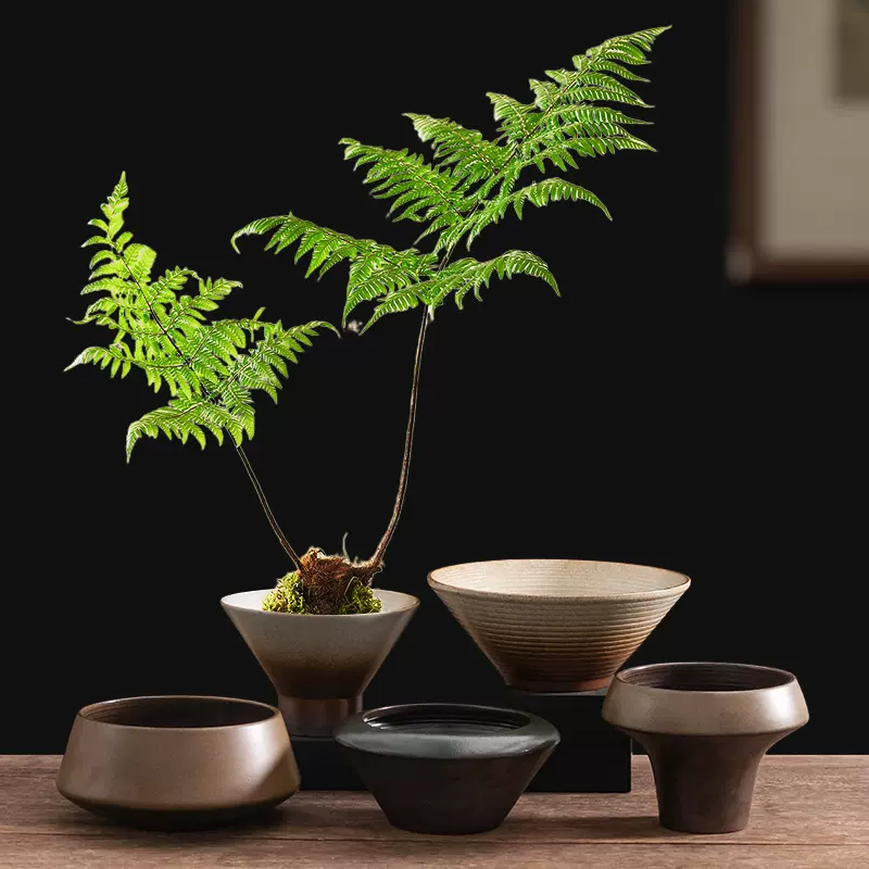 水仙鉢 禅意生け花器 水培陶磁 華道磁器 置物