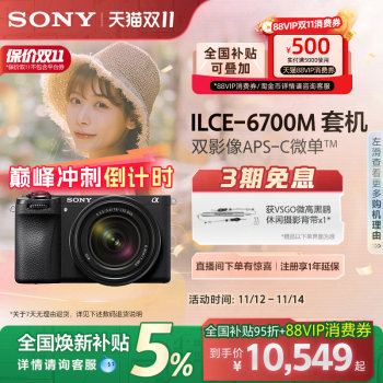 National subsidy for Sony A6700 Half-frame micro-single