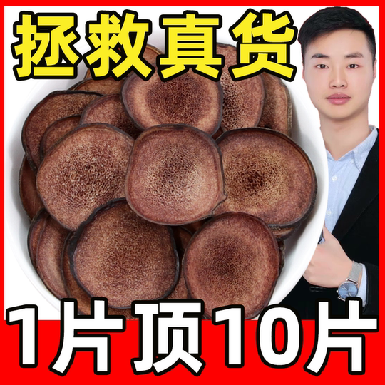 エゾ鹿角 先端（極小） 10本セット No.0141 - メルカリ