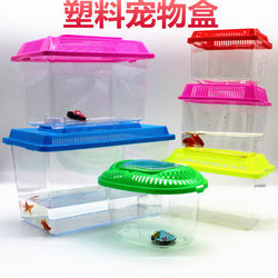Desktop box plastic feeding box turtle tank turtle tank