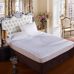 Yibocheng Five-Star Hotel Tatami Mattress Double Mattress Quilt Bed Cover Thickened Non-Slip Bed Protector