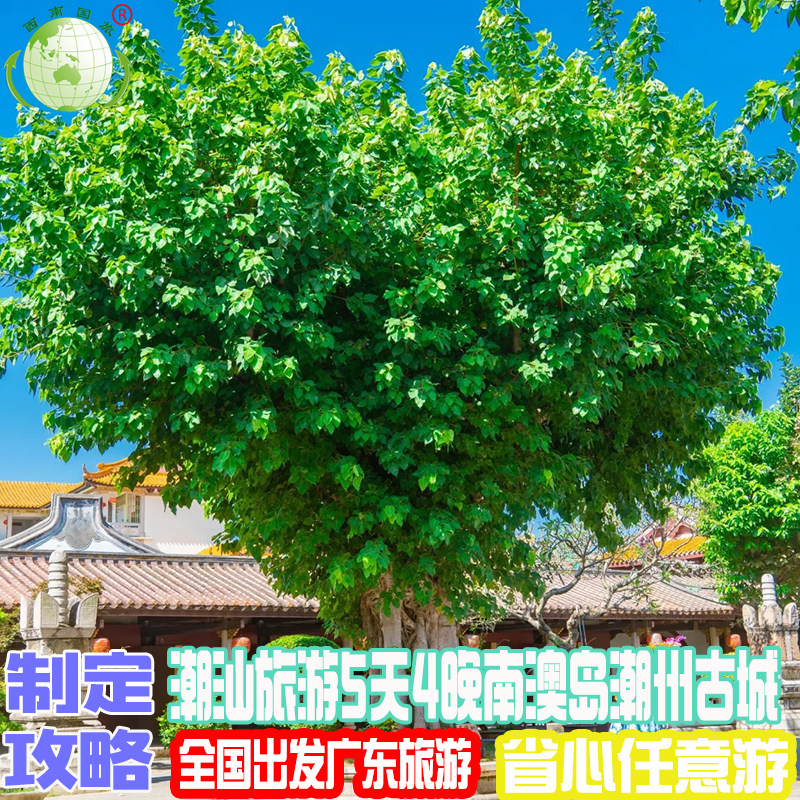 广东潮汕旅游5天4晚南澳岛海景酒店青澳湾潮州古城海鲜餐菩提禅寺