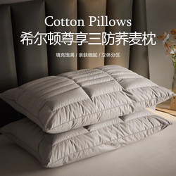 Japanese Five-Star Hotel Buckwheat Husk Double-Sided Three-Dimensional Pillow for Neck Protection and Sleep Aid, Adult Pillow Core, Pair Pack