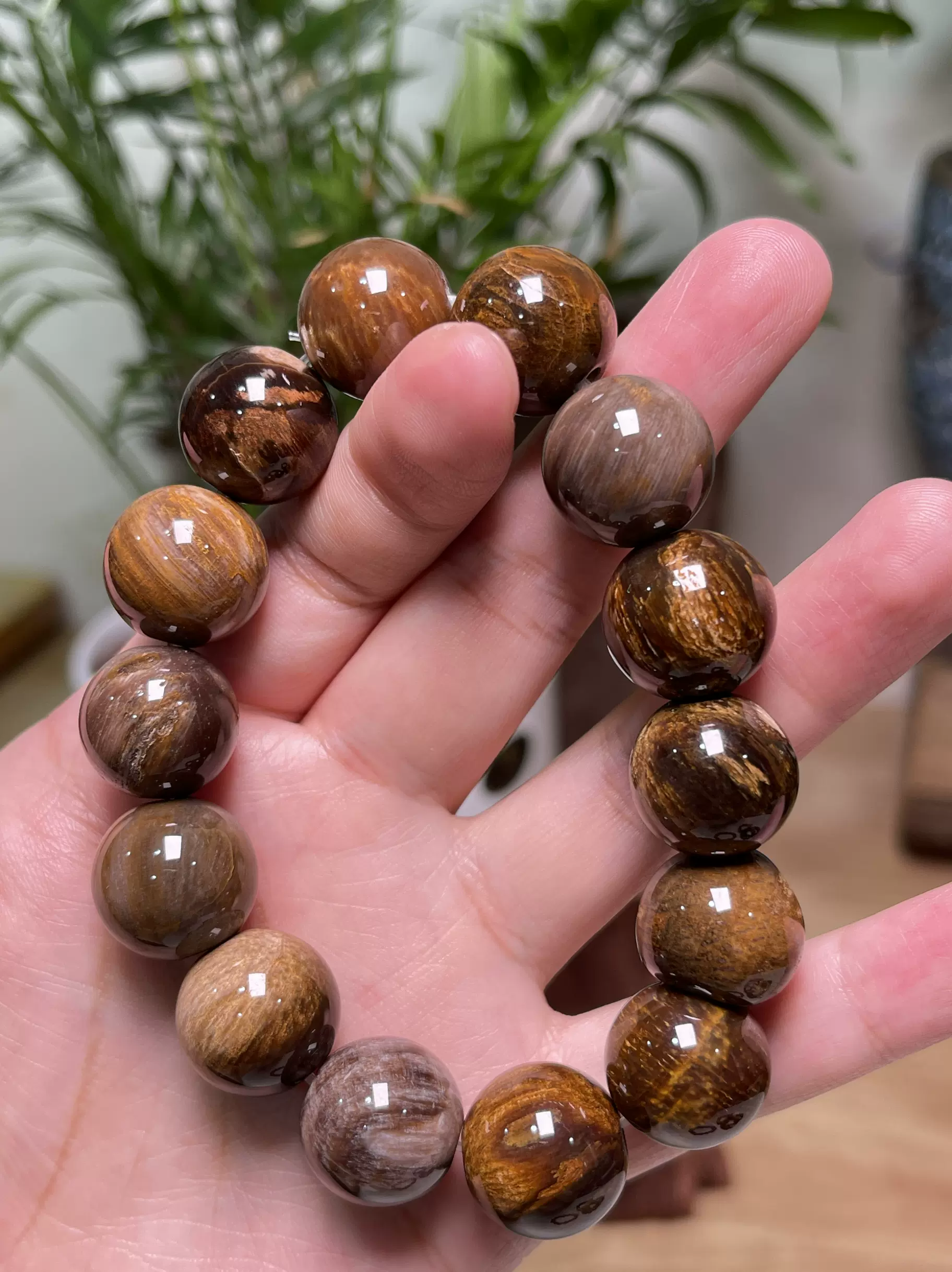 1.8树化玉珠子缅甸天然树化玉原石木化玉树化石奇石