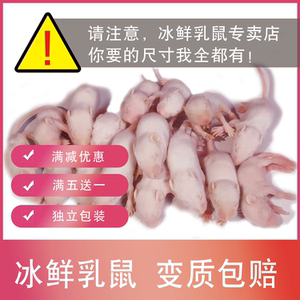 Little white rats frozen milk powder red leather white cream feed climbing pet feed snake frog lizard lizards