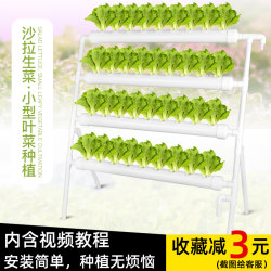 Balcony Vegetable Growing Device, Automatic Circulation Soilless Cultivation Equipment, Specialized for Growing Green Vegetables, Bok Choy, Lettuce, Hydroponic Live-Water Cultivation