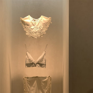 Gentle Dream French Style Lingerie Embroidered Lace French Underwear Light Mesh Bra Set