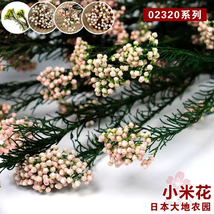 日本大地农园进口正品永生花小米花diy花材配材家居