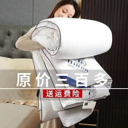 Export Hilton Hotel Feather Velvet Spring and Autumn Quilt, Summer Cooling Quilt, Air-Conditioning Quilt, Quilt Core, Winter Quilt, Cotton Student Dormitory Quilt