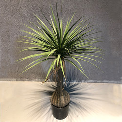 Nordic Indoor Artificial Plant Dracaena Millenaria Green Plant Potted Plant Home Store Window Decoration Fake Tree