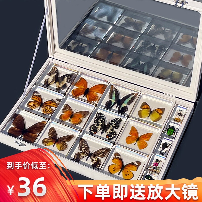 MONET 蝶々 昆虫 グリーンエナメル ヴィンテージ トリンケットボックス 小 MONET 蝶々 昆虫 グリーンエナメル ヴィンテージ トリンケット