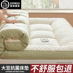 Thickened Soybean Mattress Pad for Home Bedroom, Soft Cushion, Bedding, Winter Mattress, Single Size