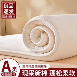 Xinjiang Cotton Mattress Pad, Bed Mattress, Soft Mattress Pad, Warm Dormitory Student Protective Pad, Thickened Mattress Pad